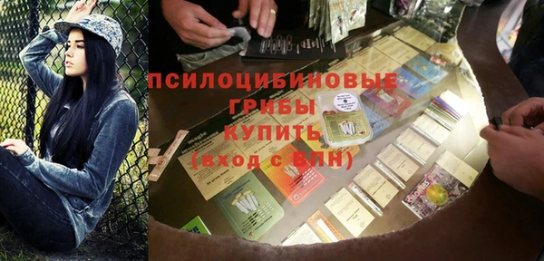 молекула духа Алексеевка