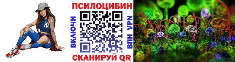 площадка наркотические препараты  Глазов  Псилоцибиновые грибы Cubensis 